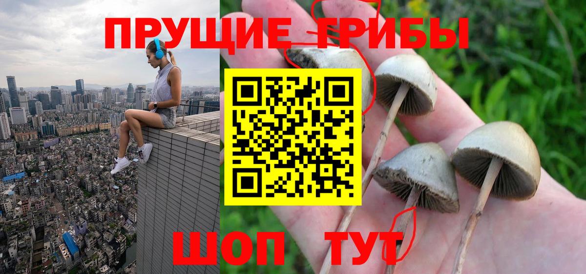 Псилоцибиновые грибы прущие грибы Липецк